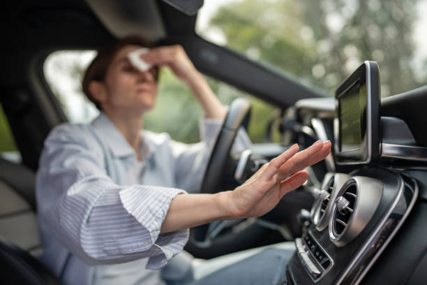 Best Thermostats and Smart Controls in Ronan, MT